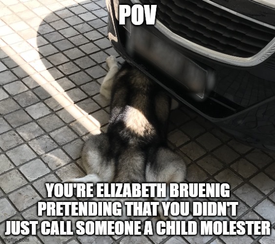 elizabeth bruenig false accusations | POV; YOU'RE ELIZABETH BRUENIG PRETENDING THAT YOU DIDN'T JUST CALL SOMEONE A CHILD MOLESTER | image tagged in politics,new york times | made w/ Imgflip meme maker