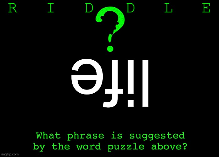 Riddle #11. Five upvotes to the first user who posts the correct answer in the comments. | life; What phrase is suggested by the word puzzle above? | image tagged in memes,riddles and brainteasers | made w/ Imgflip meme maker