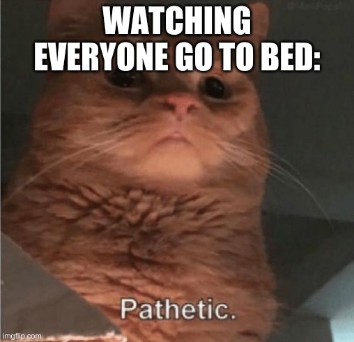 I´m joking (you are not pathetic.) | WATCHING EVERYONE GO TO BED: | image tagged in not pathetic | made w/ Imgflip meme maker