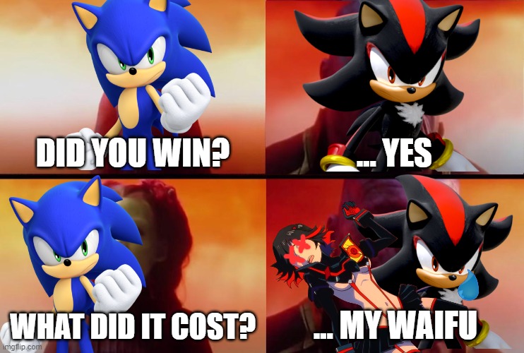 Ryuko vs Shadow Death Battle Results | DID YOU WIN? ... YES; WHAT DID IT COST? ... MY WAIFU | image tagged in thanos what did it cost,death battle,kill la kill,shadow the hedgehog,sonic the hedgehog | made w/ Imgflip meme maker
