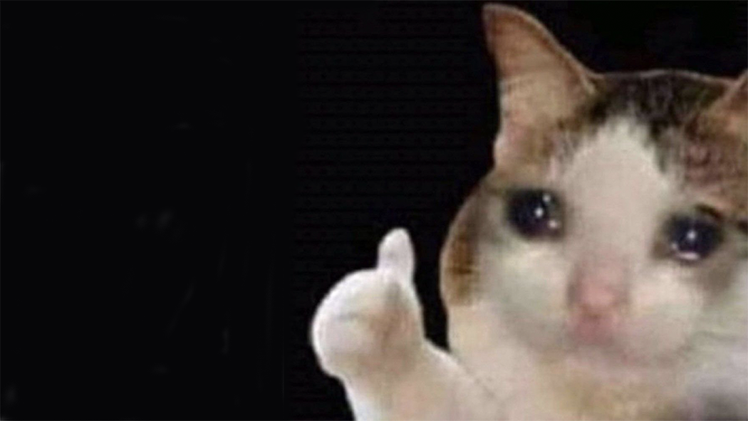 High Quality Thumbs up of a crying cat Blank Meme Template