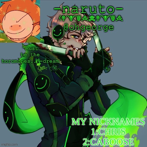 pretty much it .-. | MY NICKNAMES
1:CHRIS
2:CABOOSE | image tagged in -naruto- dream template | made w/ Imgflip meme maker