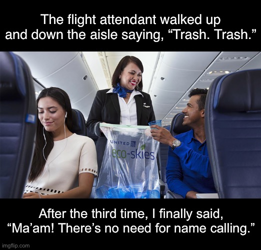 True Story. This actually happened and the attendant totally laughed. | The flight attendant walked up and down the aisle saying, “Trash. Trash.”; After the third time, I finally said, “Ma’am! There’s no need for name calling.” | image tagged in funny memes,eyeroll,bad jokes | made w/ Imgflip meme maker