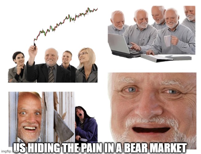 Harold | US HIDING THE PAIN IN A BEAR MARKET | image tagged in memes,hide the pain harold | made w/ Imgflip meme maker