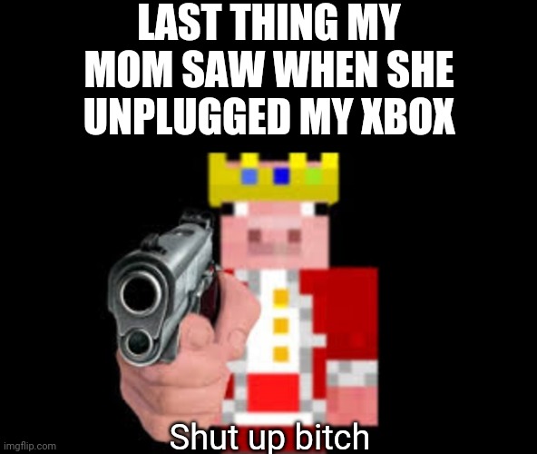 You fool, i have 70 ALTERNATIVE ACCOUNTS | LAST THING MY MOM SAW WHEN SHE UNPLUGGED MY XBOX Shut up bitch | image tagged in technoblade | made w/ Imgflip meme maker