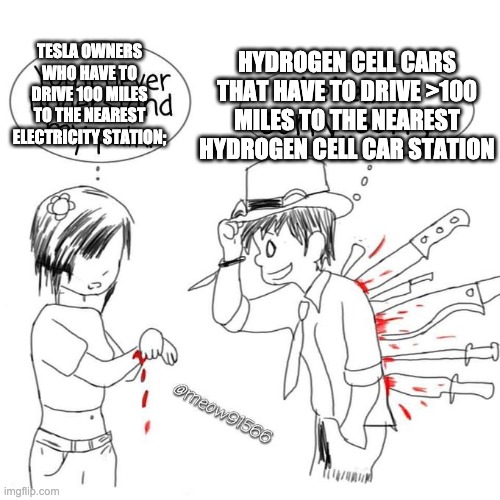 You'll never understand my pain | TESLA OWNERS WHO HAVE TO DRIVE 100 MILES TO THE NEAREST ELECTRICITY STATION; HYDROGEN CELL CARS THAT HAVE TO DRIVE >100 MILES TO THE NEAREST | image tagged in you'll never understand my pain | made w/ Imgflip meme maker