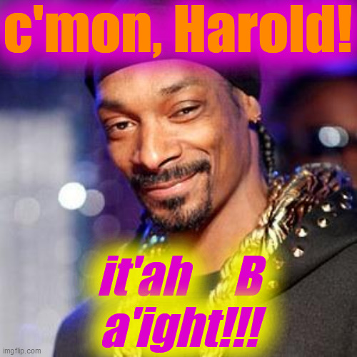 Snoop dogg | c'mon, Harold! it'ah     B
a'ight!!! | image tagged in snoop dogg | made w/ Imgflip meme maker