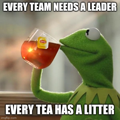 But That's None Of My Business | EVERY TEAM NEEDS A LEADER; EVERY TEA HAS A LITTER | image tagged in memes,but that's none of my business,kermit the frog | made w/ Imgflip meme maker