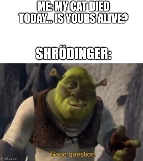Good Question! | ME: MY CAT DIED TODAY... IS YOURS ALIVE? SHRÖDINGER: | image tagged in blank white template,shrek good question,cat | made w/ Imgflip meme maker