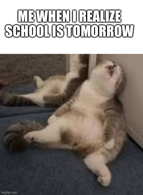 URGHHH | ME WHEN I REALIZE SCHOOL IS TOMORROW | image tagged in blank white template,lazy kayt | made w/ Imgflip meme maker