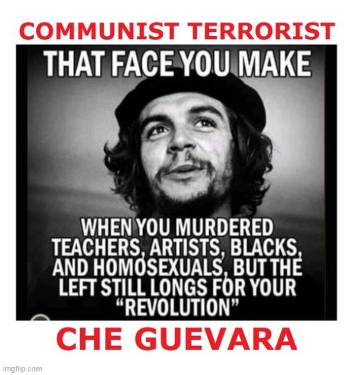 Another Democratic party hero, despite being everything the Dems claim to be against. | image tagged in che guevara,democratic party,democratic socialism,memes,democrats,liberal logic | made w/ Imgflip meme maker