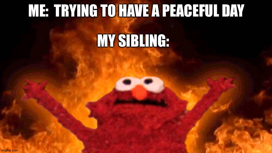 Me and my sibling | ME:  TRYING TO HAVE A PEACEFUL DAY; MY SIBLING: | image tagged in elmo fire | made w/ Imgflip meme maker