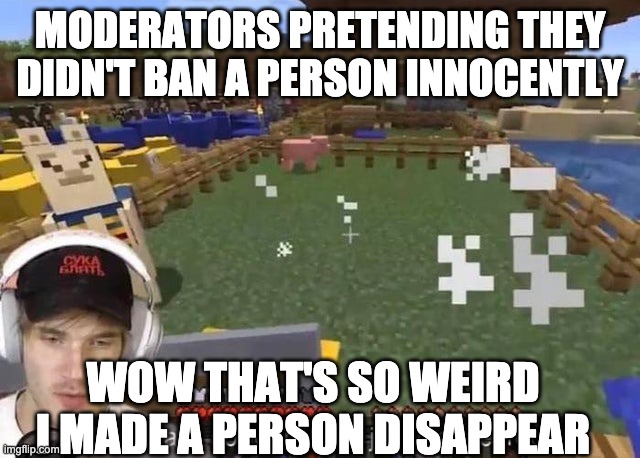 Wow that's so weird they just disappeared | MODERATORS PRETENDING THEY DIDN'T BAN A PERSON INNOCENTLY WOW THAT'S SO WEIRD I MADE A PERSON DISAPPEAR | image tagged in wow that's so weird they just disappeared | made w/ Imgflip meme maker