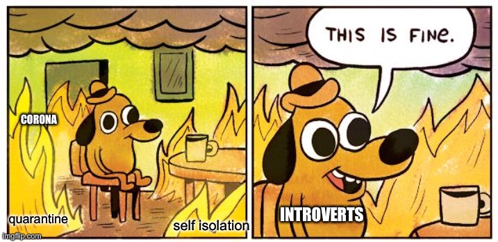 This Is Fine | CORONA; INTROVERTS; self isolation; quarantine | image tagged in memes,this is fine | made w/ Imgflip meme maker