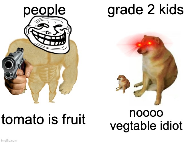 grade 2 kids |  people; grade 2 kids; tomato is fruit; noooo vegtable idiot | image tagged in memes,buff doge vs cheems | made w/ Imgflip meme maker