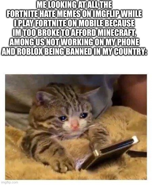 Why do you hate a game people enjoy playing | ME LOOKING AT ALL THE FORTNITE HATE MEMES ON IMGFLIP WHILE I PLAY FORTNITE ON MOBILE BECAUSE IM TOO BROKE TO AFFORD MINECRAFT, AMONG US NOT WORKING ON MY PHONE AND ROBLOX BEING BANNED IN MY COUNTRY:; IF UR READING THIS UR A LEGEND | image tagged in crying cat | made w/ Imgflip meme maker