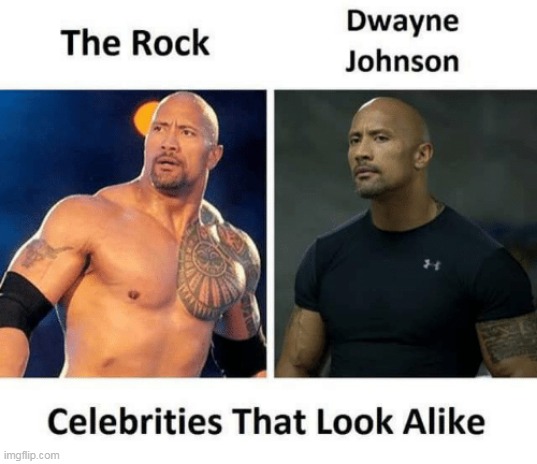 rock | image tagged in the rock | made w/ Imgflip meme maker