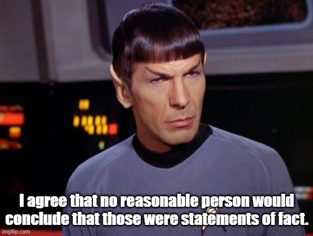 mr spock | I agree that no reasonable person would conclude that those were statements of fact. | image tagged in mr spock | made w/ Imgflip meme maker