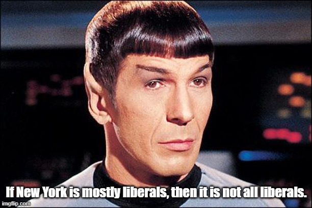 Condescending Spock | If New York is mostly liberals, then it is not all liberals. | image tagged in condescending spock | made w/ Imgflip meme maker