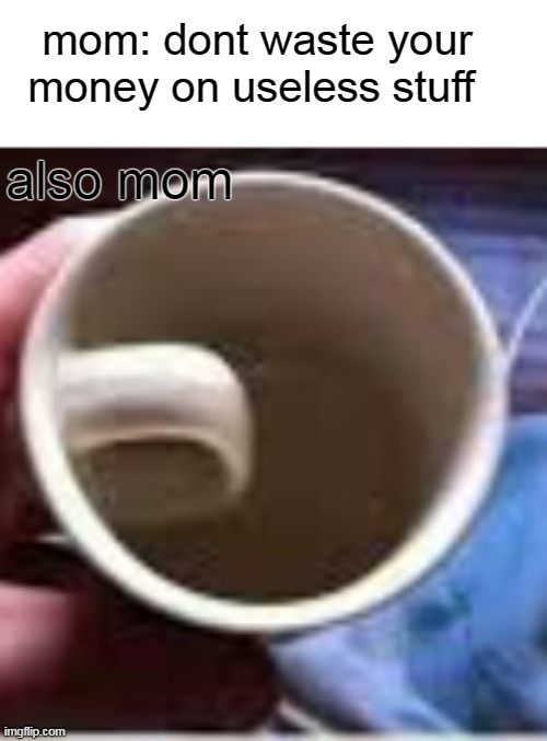 mom: dont waste your money on useless stuff; also mom | image tagged in idk,why are you reading this | made w/ Imgflip meme maker