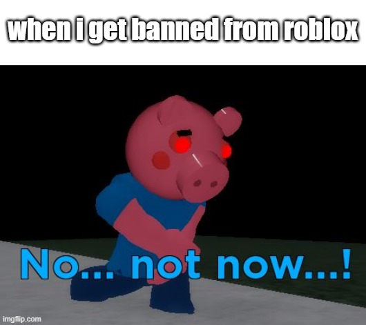 ban | when i get banned from roblox | image tagged in not now george pig | made w/ Imgflip meme maker