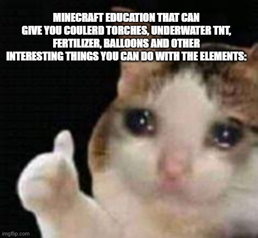Approved crying cat | MINECRAFT EDUCATION THAT CAN GIVE YOU COULERD TORCHES, UNDERWATER TNT, FERTILIZER, BALLOONS AND OTHER INTERESTING THINGS YOU CAN DO WITH THE | image tagged in approved crying cat | made w/ Imgflip meme maker