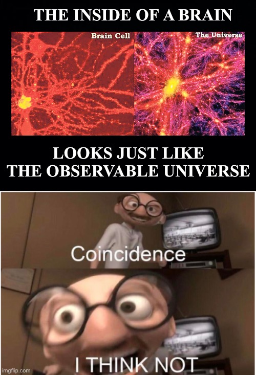 THE INSIDE OF A BRAIN; LOOKS JUST LIKE THE OBSERVABLE UNIVERSE | image tagged in coincidence i think not,universe,brain,facts,space | made w/ Imgflip meme maker