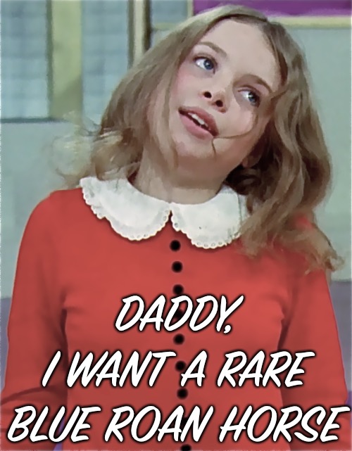 DADDY,
I WANT A RARE BLUE ROAN HORSE | made w/ Imgflip meme maker