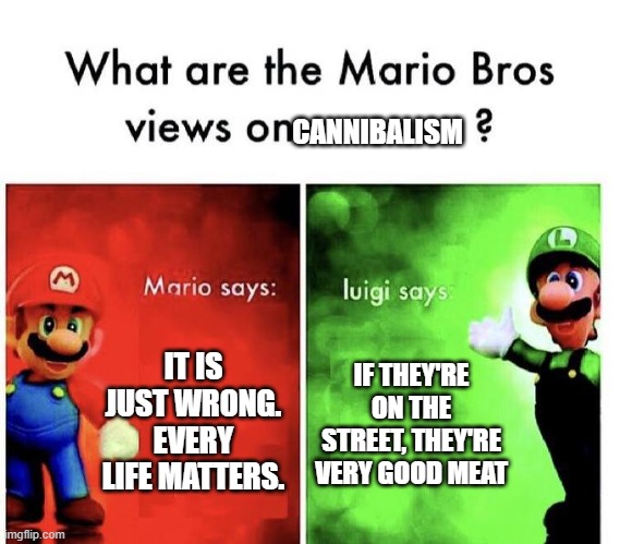 Mario Bros Views | CANNIBALISM; IT IS JUST WRONG. EVERY LIFE MATTERS. IF THEY'RE ON THE STREET, THEY'RE VERY GOOD MEAT | image tagged in mario bros views | made w/ Imgflip meme maker