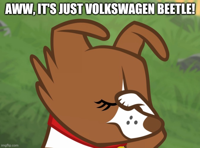 Winona Facepaw (MLP) | AWW, IT'S JUST VOLKSWAGEN BEETLE! | image tagged in winona facepaw mlp | made w/ Imgflip meme maker