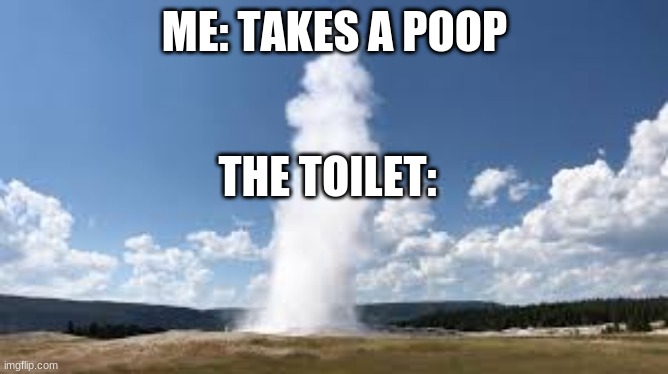 all the time | ME: TAKES A POOP; THE TOILET: | image tagged in funny,memes,funny memes | made w/ Imgflip meme maker