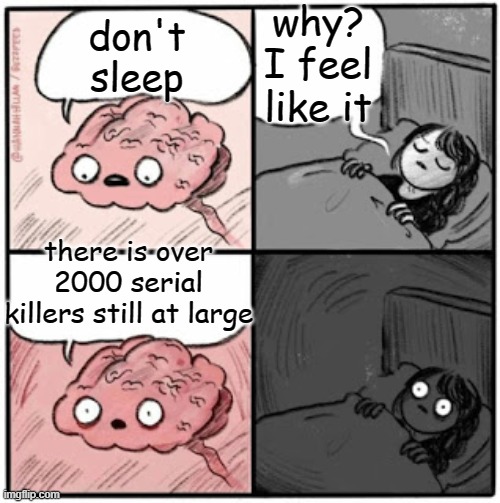 Have fun sleeping Internet. It's true. | why? I feel like it; don't sleep; there is over 2000 serial killers still at large | image tagged in brain before sleep | made w/ Imgflip meme maker