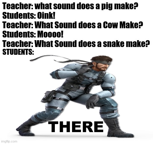 THERE! (sorry if I have not been uploading memes) | Teacher: what sound does a pig make?
Students: Oink!
Teacher: What Sound does a Cow Make?
Students: Moooo!
Teacher: What Sound does a snake make? STUDENTS:; THERE | image tagged in blank white template,funny,fun,memes,funny memes | made w/ Imgflip meme maker
