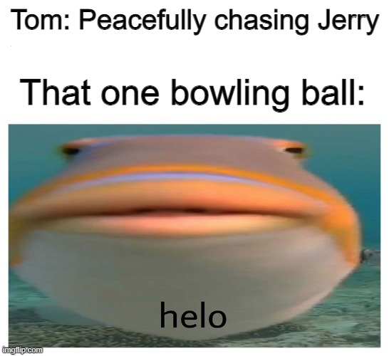It always happens | Tom: Peacefully chasing Jerry; That one bowling ball: | image tagged in helo fish | made w/ Imgflip meme maker