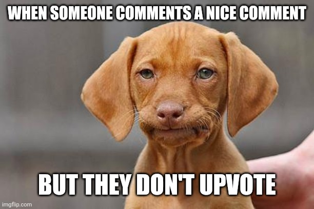 So true (repost) | WHEN SOMEONE COMMENTS A NICE COMMENT; BUT THEY DON'T UPVOTE | image tagged in dissapointed puppy | made w/ Imgflip meme maker