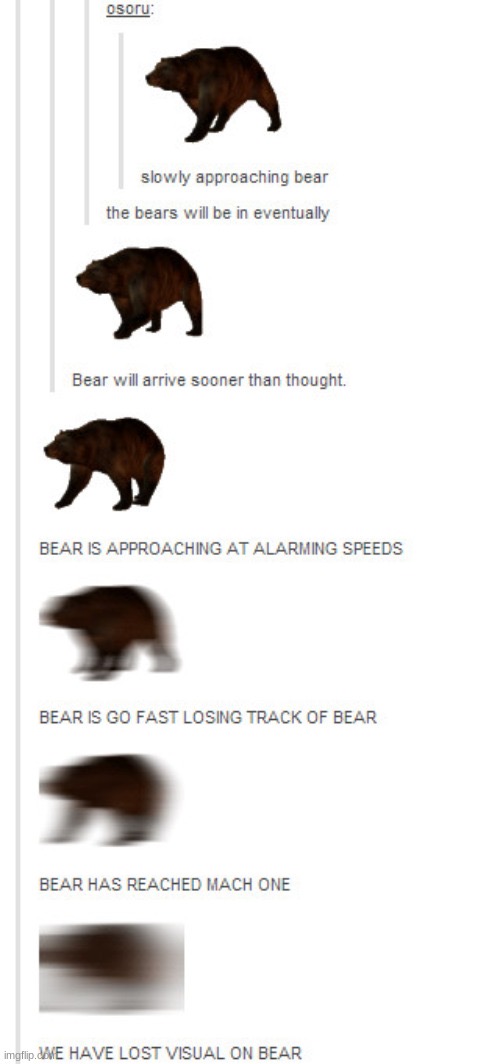Slowly Approaching Bear Blank Meme Template