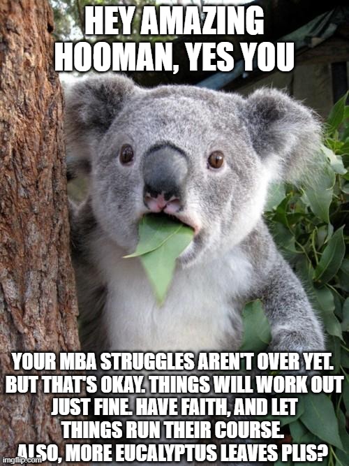Surprised Koala | HEY AMAZING HOOMAN, YES YOU; YOUR MBA STRUGGLES AREN'T OVER YET. 
BUT THAT'S OKAY. THINGS WILL WORK OUT
 JUST FINE. HAVE FAITH, AND LET 
THINGS RUN THEIR COURSE. 
ALSO, MORE EUCALYPTUS LEAVES PLIS? | image tagged in memes,surprised koala,cute,cute koala,koala | made w/ Imgflip meme maker