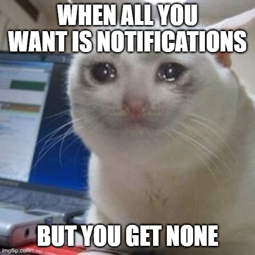 Crying cat | WHEN ALL YOU WANT IS NOTIFICATIONS; BUT YOU GET NONE | image tagged in crying cat | made w/ Imgflip meme maker