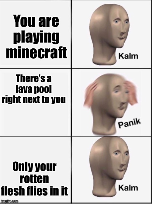 Reverse kalm panik | You are playing minecraft There’s a lava pool right next to you Only your rotten flesh flies in it | image tagged in reverse kalm panik | made w/ Imgflip meme maker