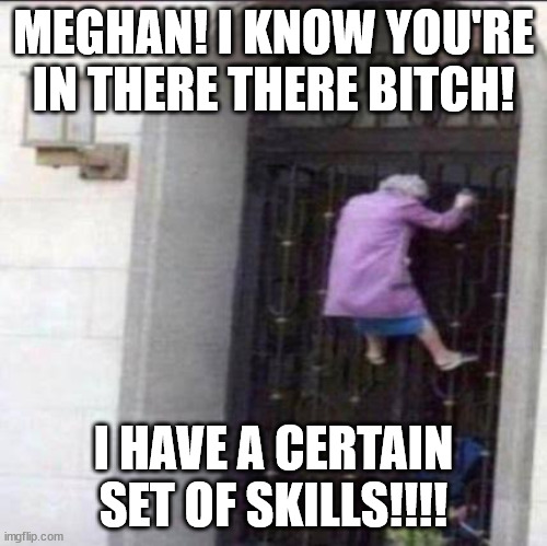 MEGHAN! I KNOW YOU'RE IN THERE THERE BITCH! I HAVE A CERTAIN SET OF SKILLS!!!! | image tagged in politics | made w/ Imgflip meme maker