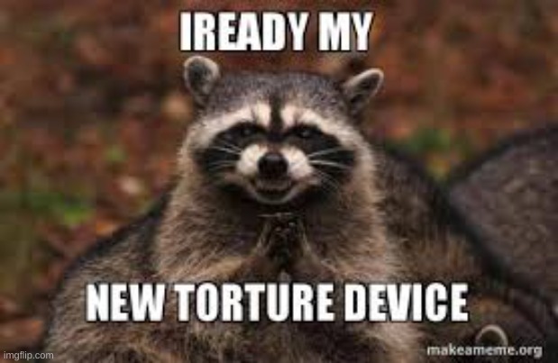 BRUH | image tagged in racoon,yes | made w/ Imgflip meme maker