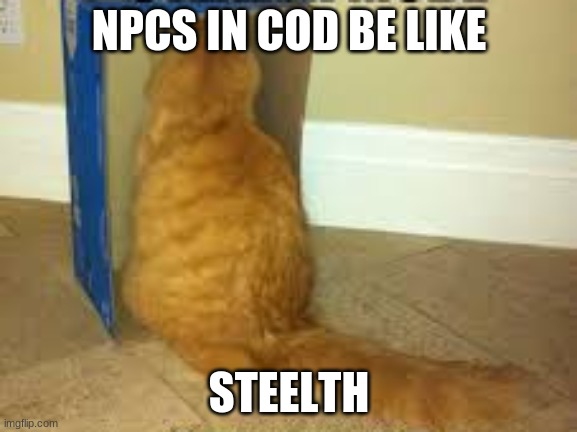 steeth | NPCS IN COD BE LIKE; STEELTH | image tagged in steeth,cat,secret,cod,hide | made w/ Imgflip meme maker