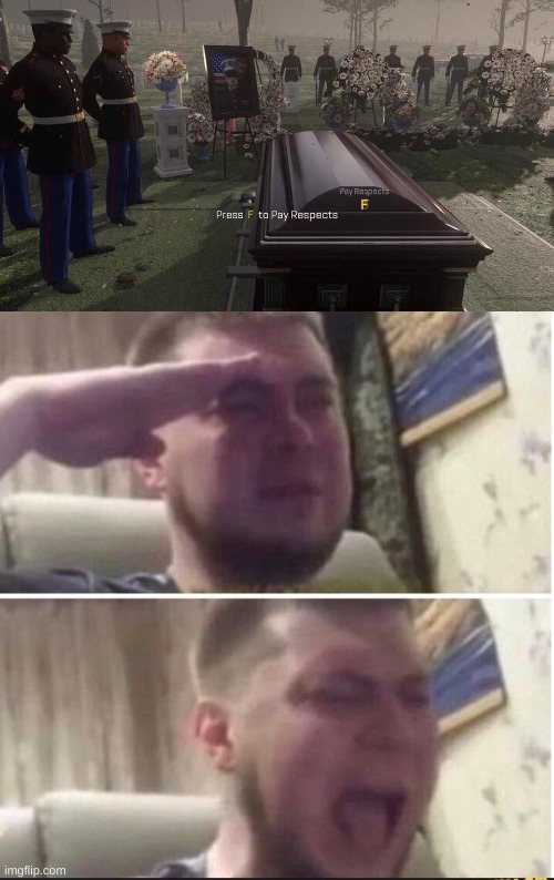 image tagged in press f to pay respects,crying salute | made w/ Imgflip meme maker