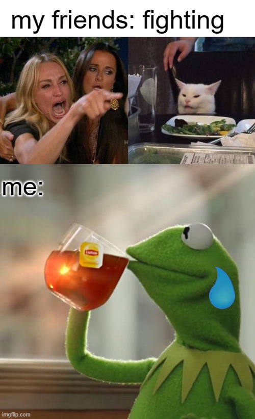 my friends: fighting; me: | image tagged in memes,woman yelling at cat,but that's none of my business | made w/ Imgflip meme maker
