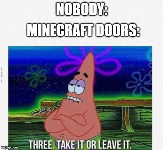 I don't want 3 doors I want 1 | MINECRAFT DOORS:; NOBODY: | image tagged in 3 take it or leave it,memes,minecraft | made w/ Imgflip meme maker