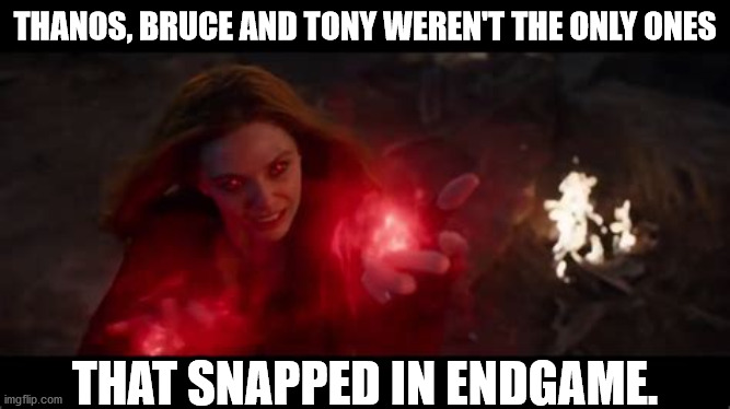 Wanda snapped too | THANOS, BRUCE AND TONY WEREN'T THE ONLY ONES; THAT SNAPPED IN ENDGAME. | image tagged in wanda,avengers endgame,thanos snap | made w/ Imgflip meme maker
