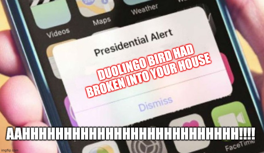 This is what happens when you don't practise Duolingo for over a week | DUOLINGO BIRD HAD BROKEN INTO YOUR HOUSE; AAHHHHHHHHHHHHHHHHHHHHHHHHHH!!!! | image tagged in memes,presidential alert | made w/ Imgflip meme maker