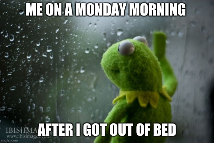 my first meme | ME ON A MONDAY MORNING; AFTER I GOT OUT OF BED | image tagged in kermit window | made w/ Imgflip meme maker