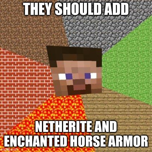Minecraft Steve | THEY SHOULD ADD; NETHERITE AND ENCHANTED HORSE ARMOR | image tagged in minecraft steve | made w/ Imgflip meme maker