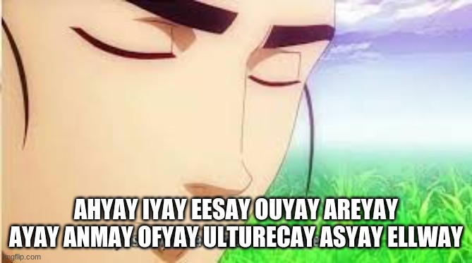 Ah,I see you are a man of culture as well | AHYAY IYAY EESAY OUYAY AREYAY AYAY ANMAY OFYAY ULTURECAY ASYAY ELLWAY | image tagged in ah i see you are a man of culture as well | made w/ Imgflip meme maker